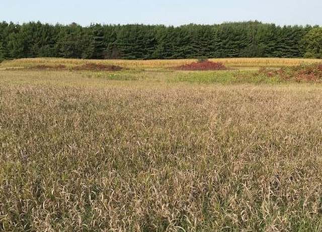 Property at xxxx Pine Bluff (site15) Rd NW, Pine Island, MN 55963
