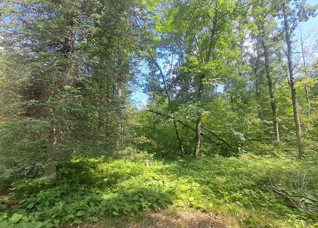 Property at XXX White Tail Dr, Danbury, WI 54830