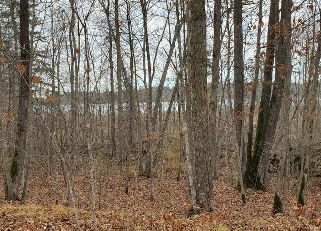 Property at Parcel A Ticonderoga Trl, Hackensack, MN 56452
