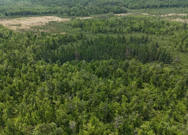 Property at TBD Speckled Trout Rd, Sandstone, MN 55072
