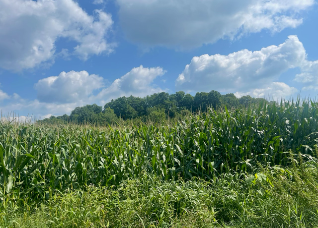 Property at XXX 74th St, Georgetown Twp, WI 54853