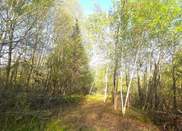 Property at 000 Starch Rd, Bruno, MN 55712
