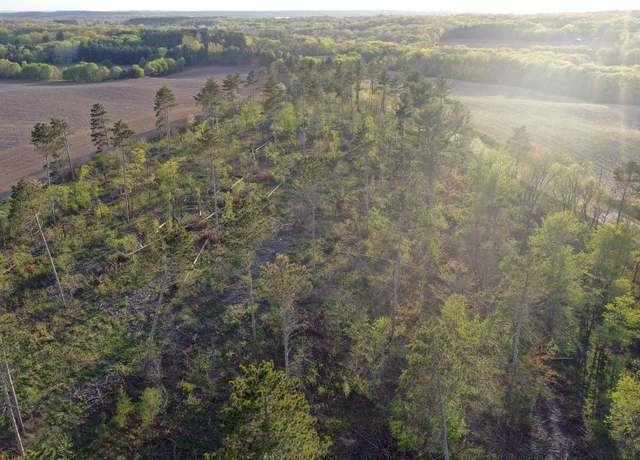 Property at TBD State Hwy 65, Alden Twp, WI 54026