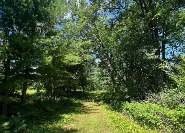 Property at xxxxx Lily Lake Inn Rd, Meenon Twp, WI 54893