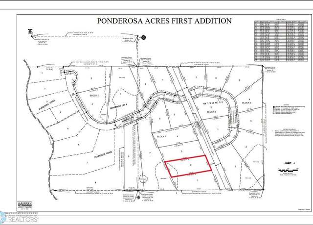 Property at (Lot 2) TBD County Rd 4, Little Elbow Twp, MN 56589