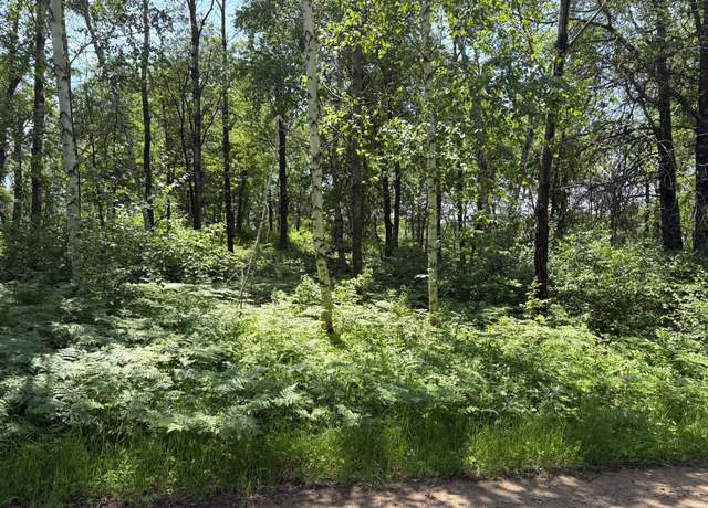 Property at TBD S Sluetter Rd, Pequot Lakes, MN 56472