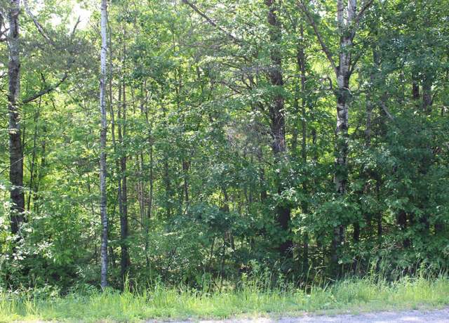 Property at TBD Centerline Rd NW, Solway, MN 56678