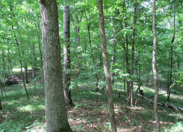 Property at XXX 160th Ave, Saint Croix Falls Twp, WI 54024