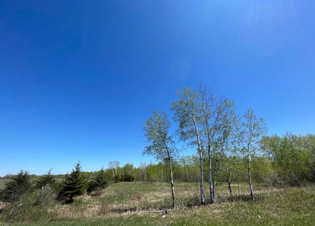 Property at 408xx Tiger St NW, Milaca, MN 56353