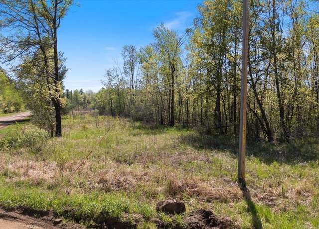 Property at TBD 517th St, Rushseba Twp, MN 55069