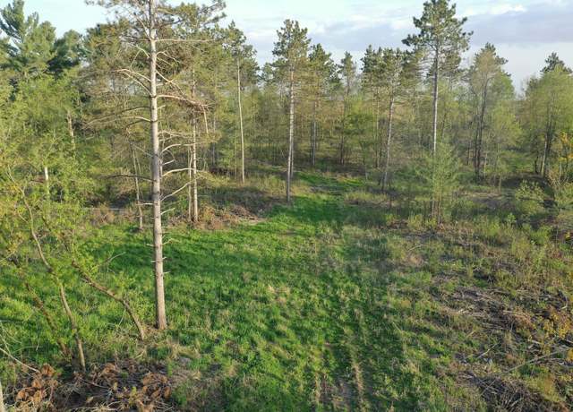 Property at TBD State Hwy 65 - Lot 2, Alden Twp, WI 54026