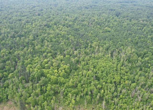 Property at Parcel C Ticonderoga Trl, Hackensack, MN 56452