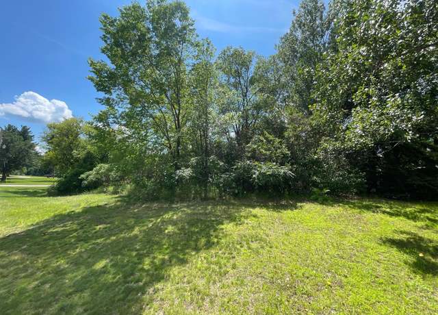 Property at TBD River St, Pillager, MN 56473