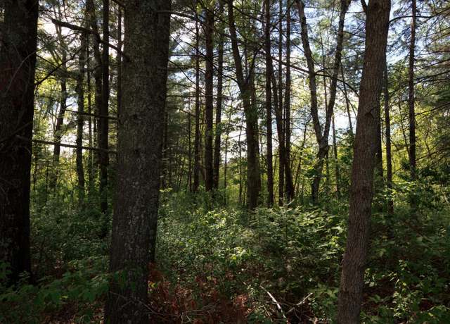 Property at 215 York St, Pine River, MN 56474