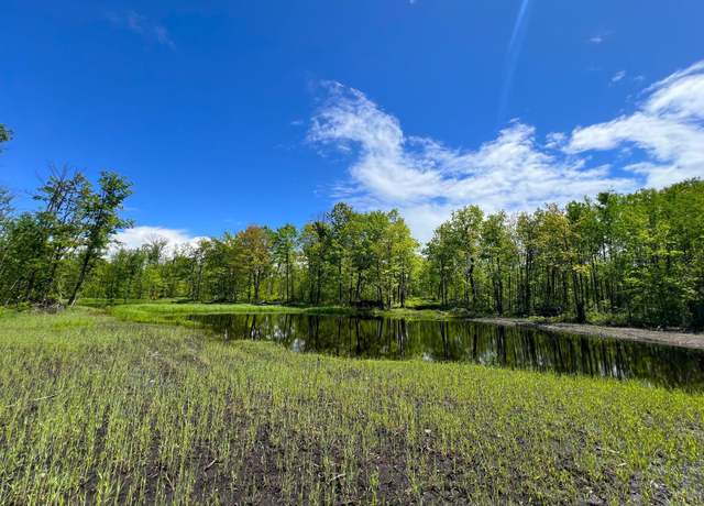 Property at XXX Woods Rd, Isle, MN 56342