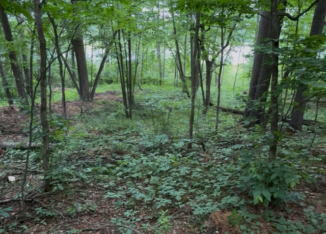 Property at TBD Fawn Lake Rd, Nisswa, MN 56468