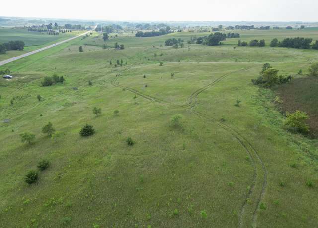 Property at xxxx Hwy 29, Blue Mounds Twp, MN 56381
