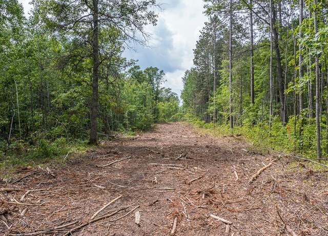 Property at Tract C Tract C-polaris, Mission Twp, MN 56465