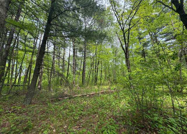 Property at TBD2 Aurora Dr, Walker, MN 56484