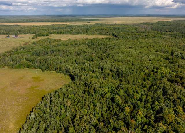Property at TBD Boy Lake Dr NE, Remer, MN 56672