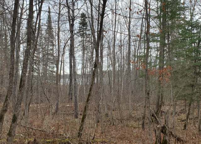 Property at Tract 3 Ticonderoga Trl, Hackensack, MN 56452