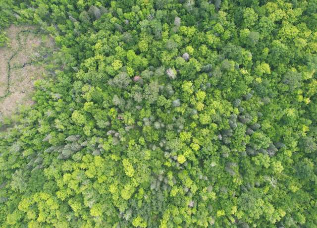Property at Tract 3 Ticonderoga Trl, Hackensack, MN 56452
