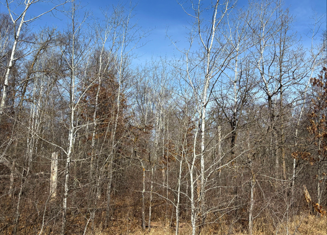 Property at TBD Ski Chalet Dr, Breezy Point, MN 56472