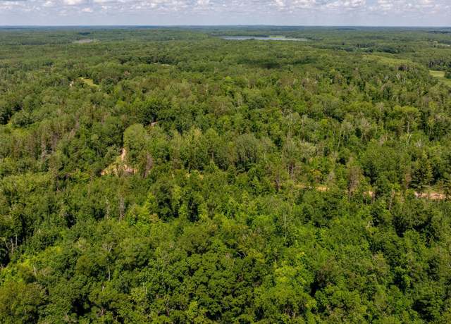 Property at TBD Miller Lake Rd, Crosby, MN 56441