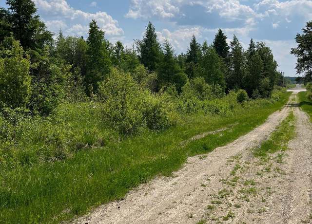 Property at TBD Highway 53, Ray, MN 56669