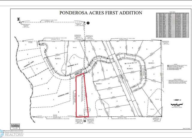 Property at (Lot 8) TBD Ponderosa Ln, Little Elbow Twp, MN 56589