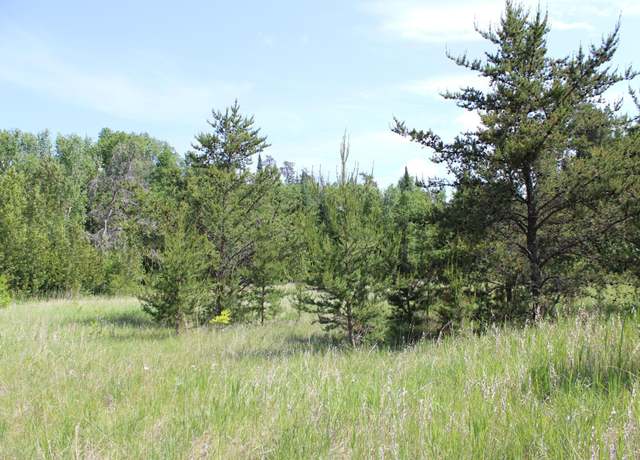 Property at TBD Goranson Ct NW, Bemidji, MN 56601