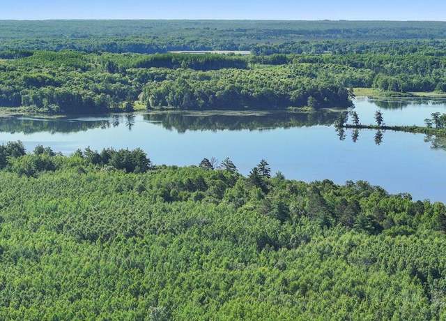 Property at TBD State 84, Longville, MN 56655