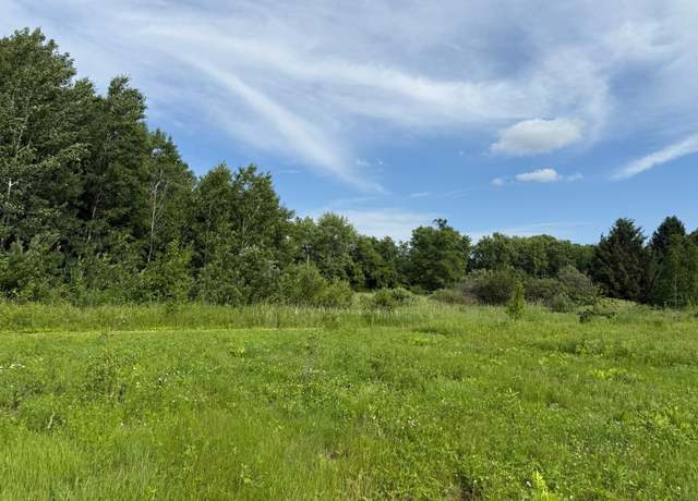 Property at TBD St. Croix Trl, North Branch, MN 55056