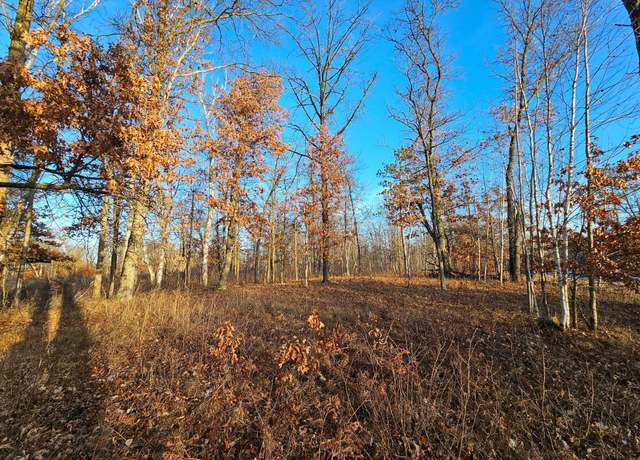 Property at L6B4 Settler Trl, Merrifield, MN 56465