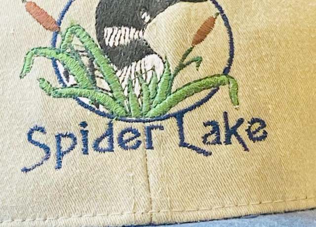 Property at 25006 Great Pine Dr, Mantrap Twp, MN 56467, 2 beds, 2 baths