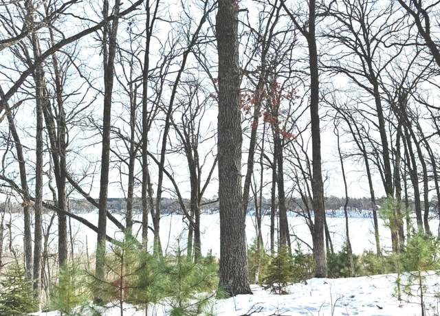 Property at TBD 141st Ave, Blueberry Twp, MN 56464