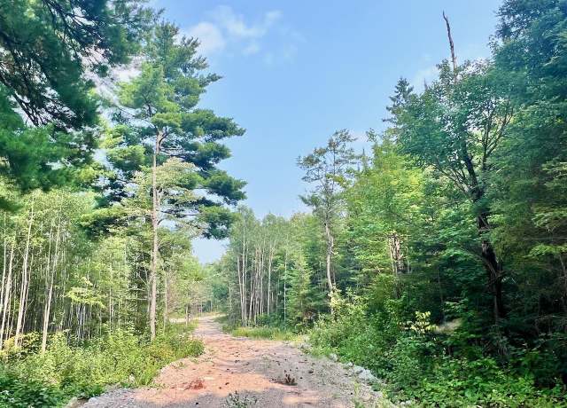 Property at Parcel B Vermilion Lake Rd, Beatty Twp, MN 55723