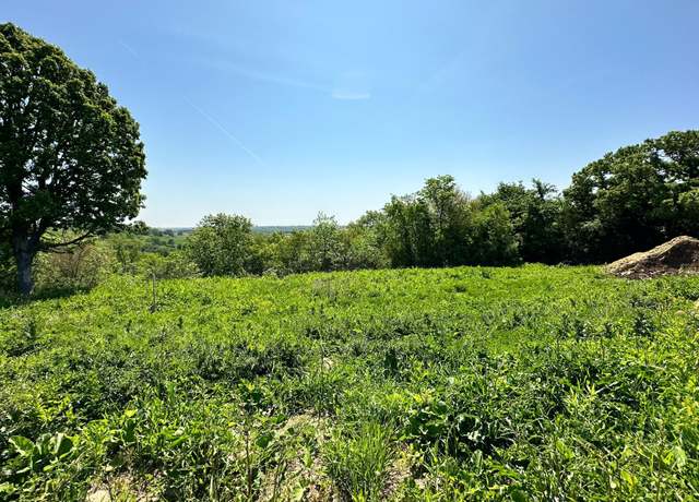 Property at 936 Overlook Dr, Preston, MN 55965