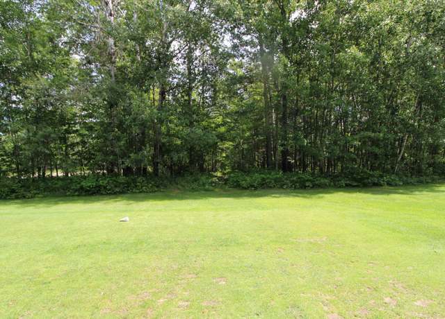 Property at Tract A County Road 1, Emily, MN 56447