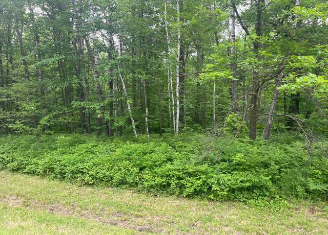 Property at 000 State Highway 107, Grasston, MN 55030