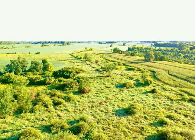 Property at NAA 130th Ave, South Fork Twp, MN 56358