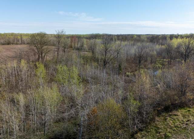 Property at 0000 Crooked Lake Rd, Danforth Twp, MN 55072