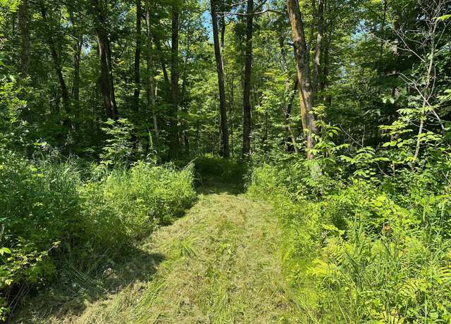Property at XXY Merlin Rd, Dailey Twp, MN 56338