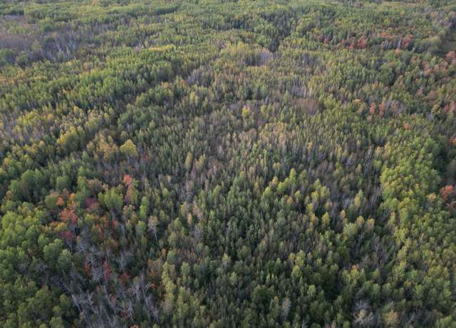 Property at TBD Us-71, Big Falls, MN 56627