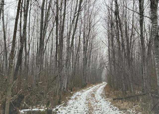 Property at 80+ acres Willow Creek Rd NE, Kelliher, MN 56650