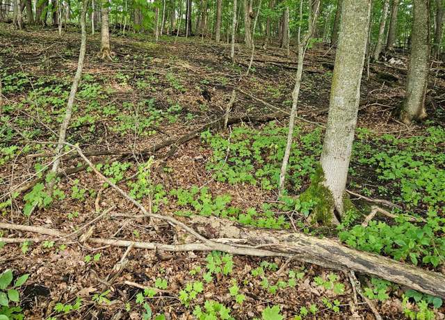 Property at TBD Valley Ln SW, Moe Twp, MN 56327