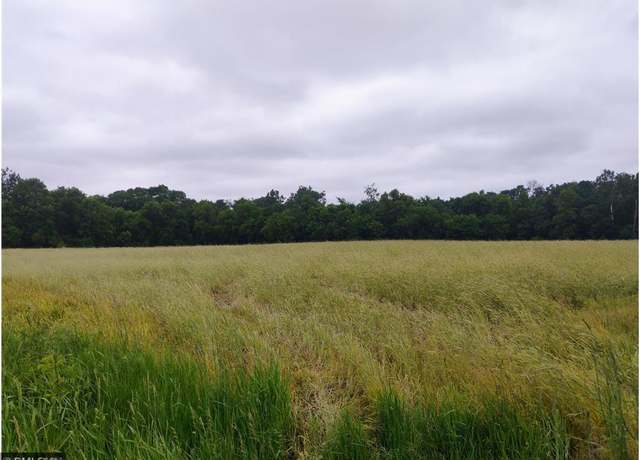 Property at 6XXX County Road 6 NW, Wyanett Twp, MN 55371