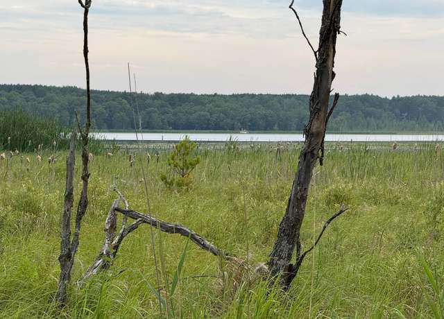 Property at 14677 Chokecherry Dr, Nevis, MN 56467