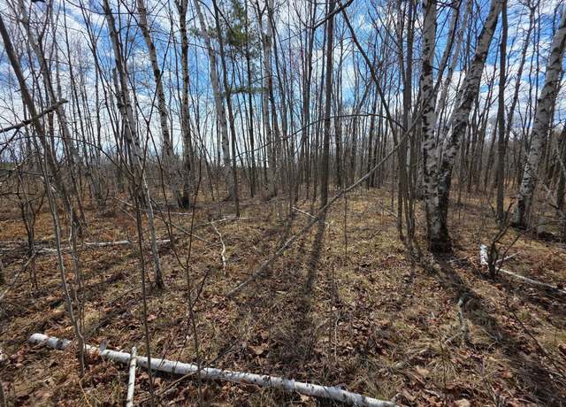 Property at xxxxx Westward Ho St, Garrison, MN 56450