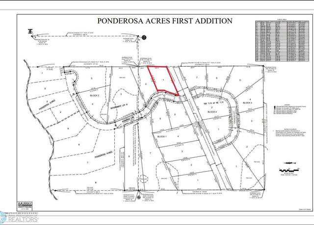 Property at (Lot 1) TBD Ponderosa Ln, Little Elbow Twp, MN 56589